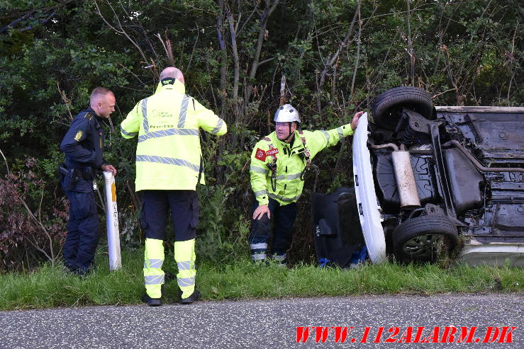 Ramte et træ. Bredstenvej ved Skibet. 05/08-2023. KL. 05:42.