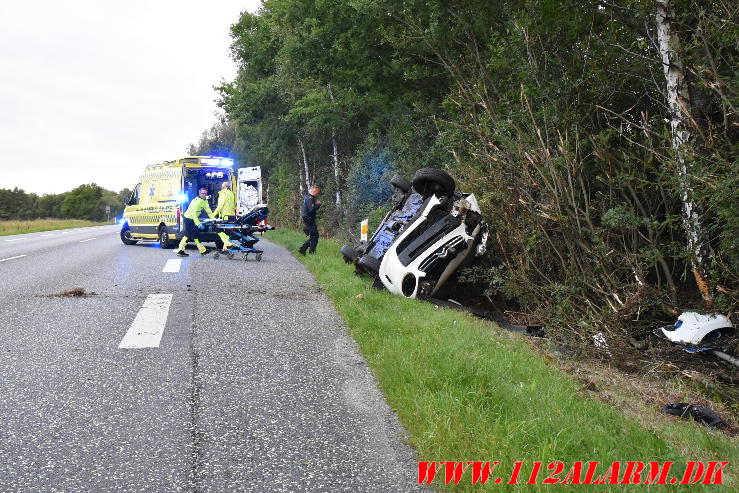 Ramte et træ. Bredstenvej ved Skibet. 05/08-2023. KL. 05:42.