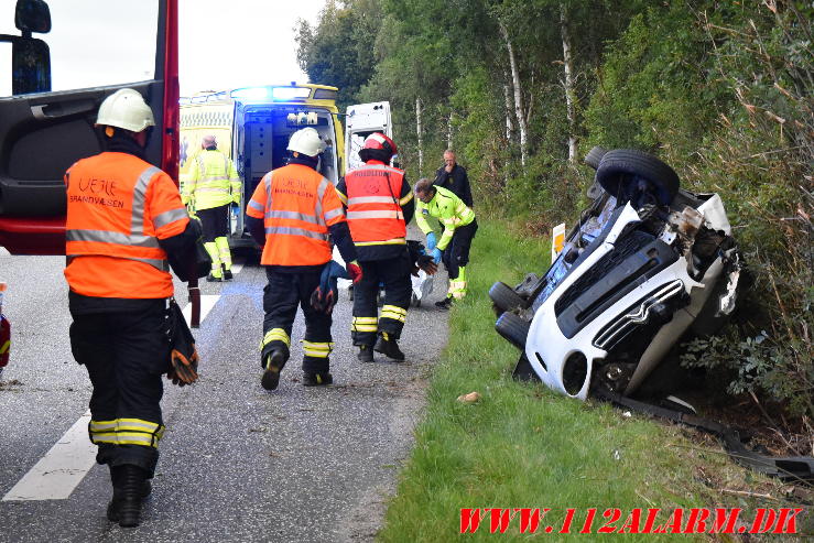 Ramte et træ. Bredstenvej ved Skibet. 05/08-2023. KL. 05:42.