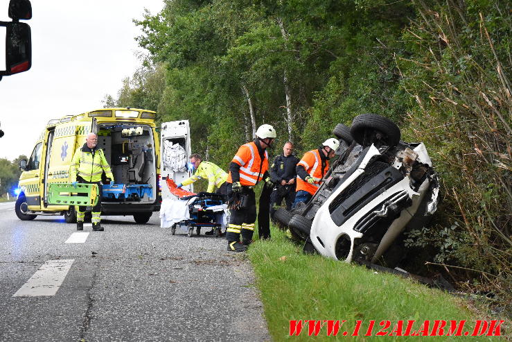 Ramte et træ. Bredstenvej ved Skibet. 05/08-2023. KL. 05:42.