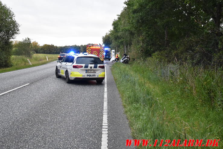 Ramte et træ. Bredstenvej ved Skibet. 05/08-2023. KL. 05:42.