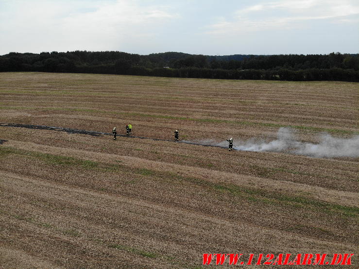 Røg fra en mark. Løballevej ved Håstrup. 19/08-2023. Kl. 13:16.