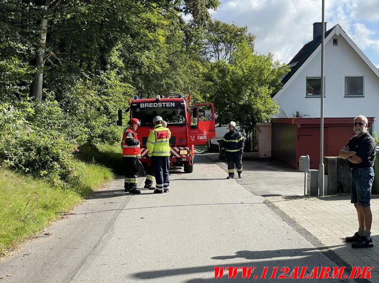 ild i Elskab. Daldovervej i Randbøldal. 28/08-2023. Kl. 10:37.