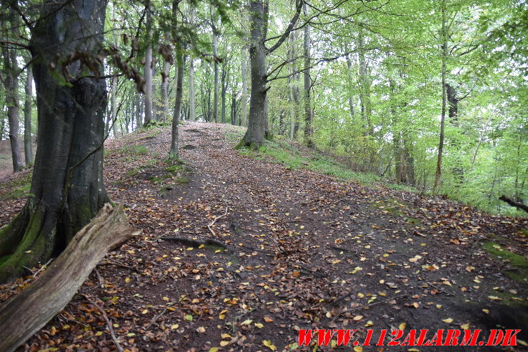 En cykellist styrtede ned af bakken. Skoven ved Vindinggård Ringvej. 10/10-2023. KL. 16:44.