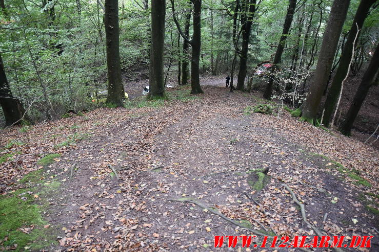 En cykellist styrtede ned af bakken. Skoven ved Vindinggård Ringvej. 10/10-2023. KL. 16:44.