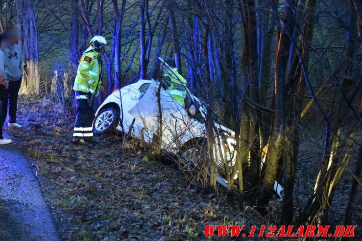 Kørt i grøften og ramt nogle små træer. Ribe Landevej ved Vejle. 31/12-2023. Kl. 08:15.