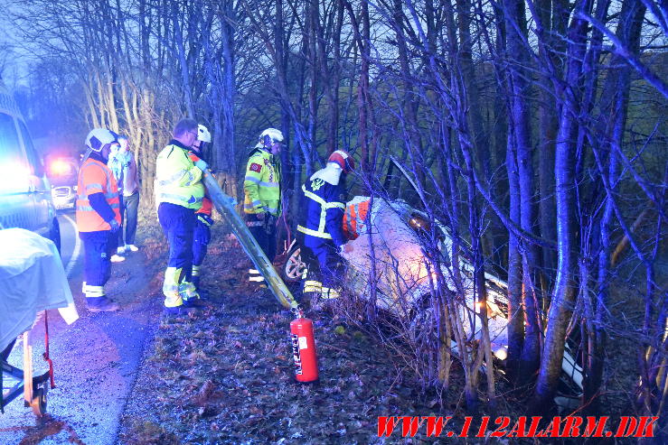 Kørt i grøften og ramt nogle små træer. Ribe Landevej ved Vejle. 31/12-2023. Kl. 08:15.