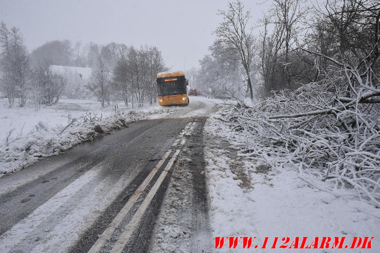 Bus i sneen. 03/01-2024. KL. 09:42.