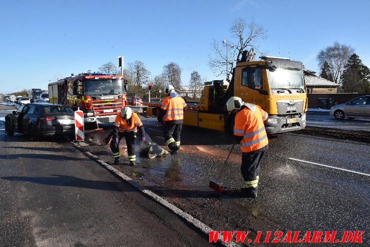 Blev blindet af solen. Horsensvej/Moldevej i Vejle. 08/02-2024. KL. 12:49.