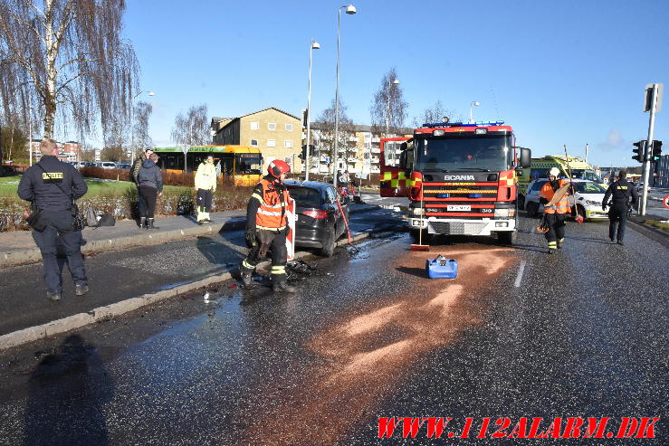 Blev blindet af solen. Horsensvej/Moldevej i Vejle. 08/02-2024. KL. 12:49.