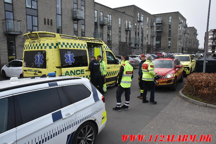 Vejle Brandvæsen hjalp Politiet. Lystbådehavnen i Vejle. 13/03-2024. KL. 12:45.